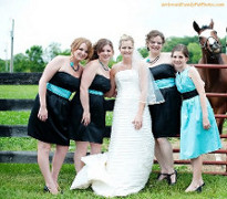 Horse photobombing bridal party photo.