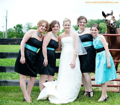 Horse photobombing bridal party photo.